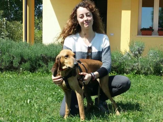 Oliviero